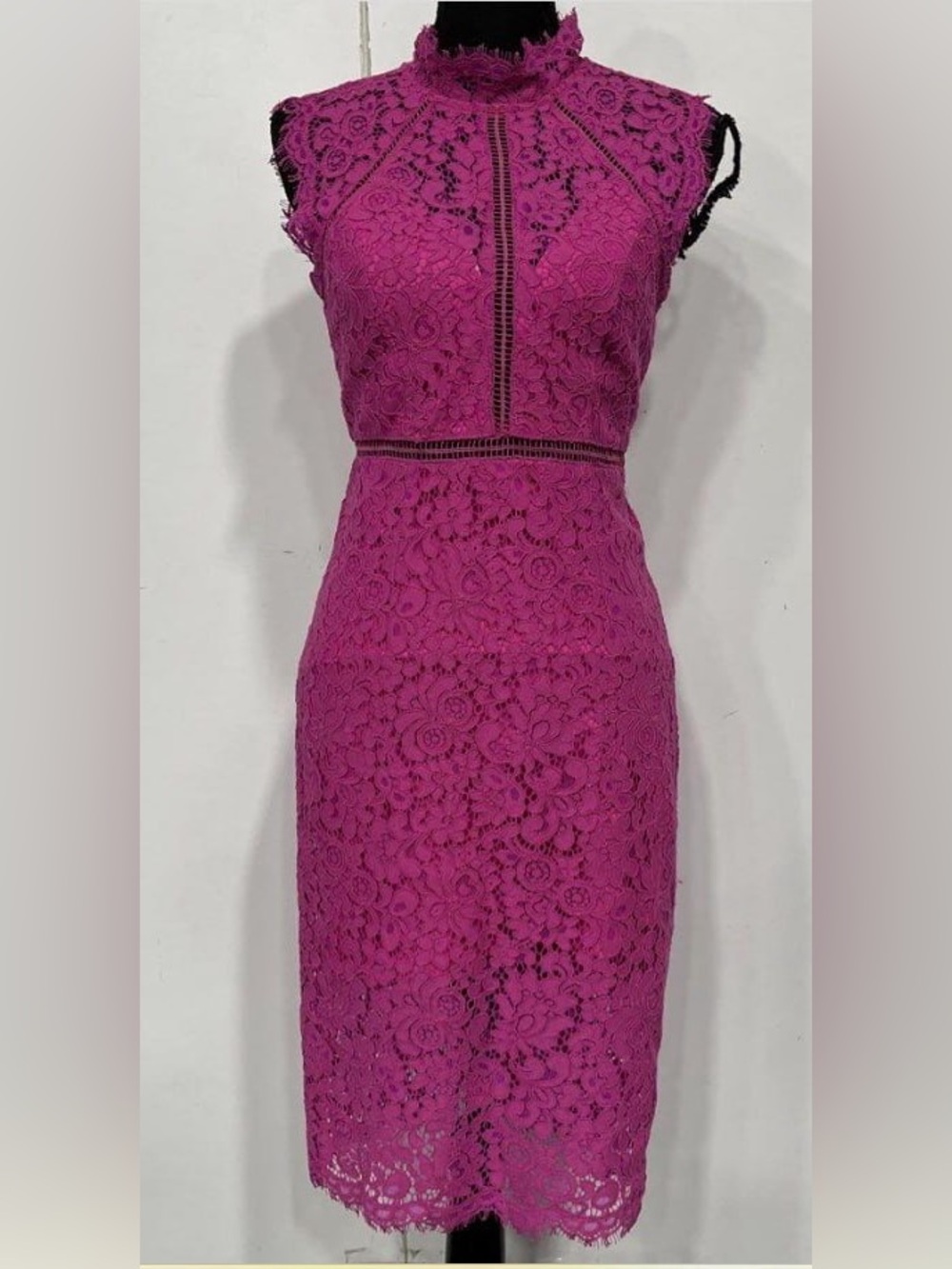 NWT Bardot Lace Panel Dress Pink XS EU 36 Midi Sleeveless High Neck